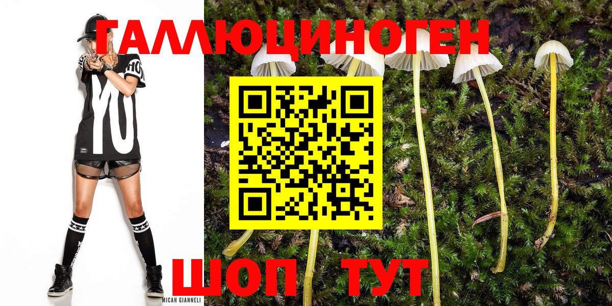 Псилоцибиновые грибы Cubensis  Вход с VPN  Галлюциногенные грибы Cubensis  Крымск 